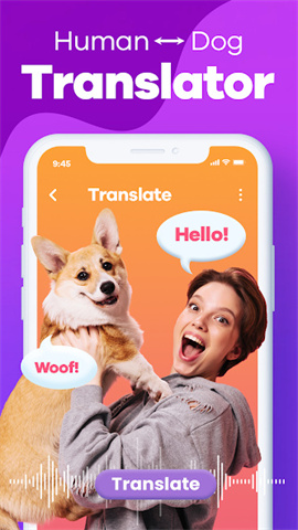 APP NAME