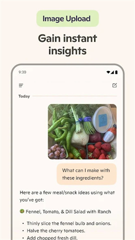 APP NAME